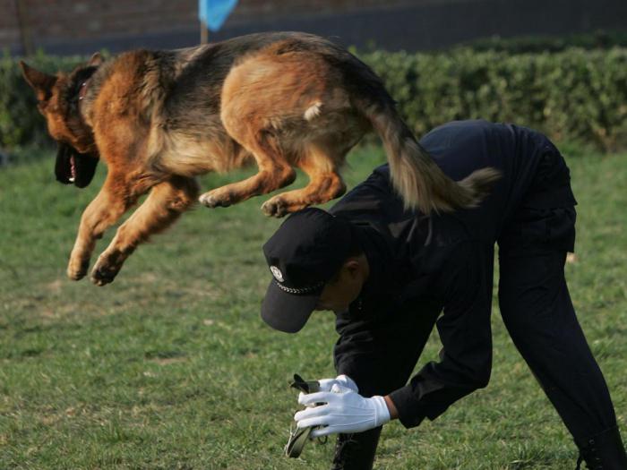 активность