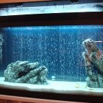 аквариум с песком в виде грунта