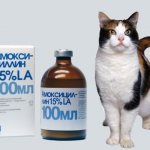 Амоксициллин