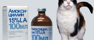 Амоксициллин