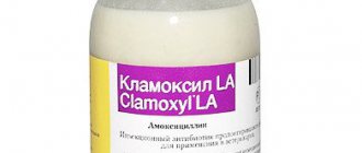 Антибиотик Кламоксил