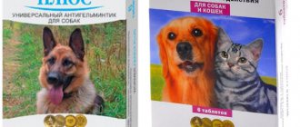 Азинокс плюс и Азинокс для кошек и собак
