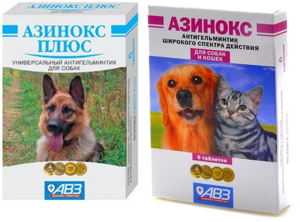 Азинокс плюс и Азинокс для кошек и собак