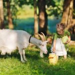 Безопасный продукт