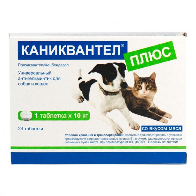 Благодаря своему запаху, Каниквантел плюс легко съедается котами