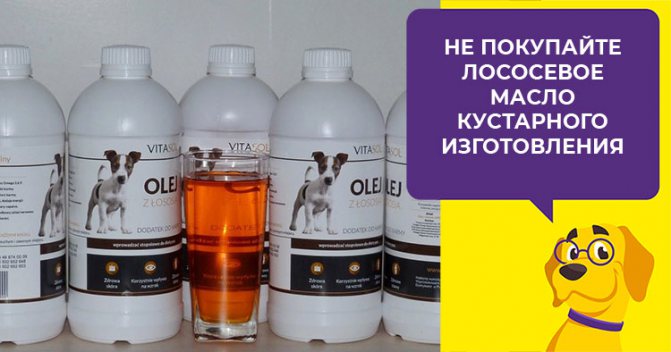 Чем полезно масло лосося для щенков и взрослых собак