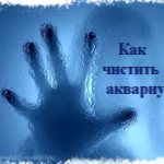чистка аквариума