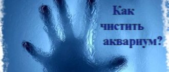 чистка аквариума
