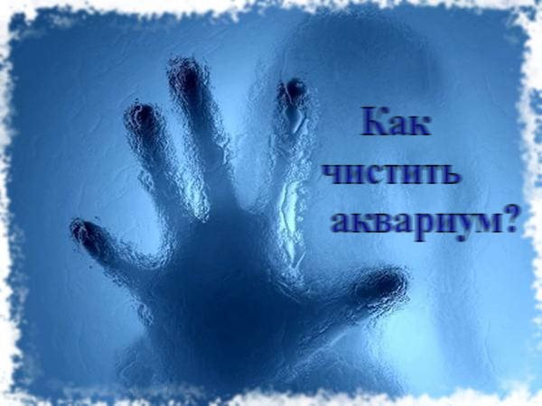 чистка аквариума