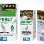 Диронет для кошек