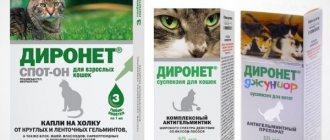 Диронет для кошек