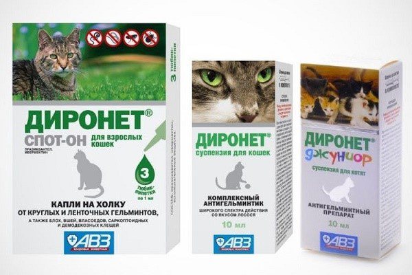 Диронет для кошек