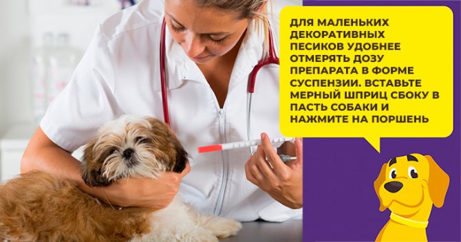 Диронет - противопаразитарное средство для щенков и взрослых собак