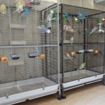 Для возможности полетов строим большую клетку