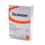 Экзекан