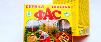 фас