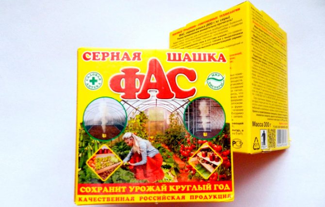 фас