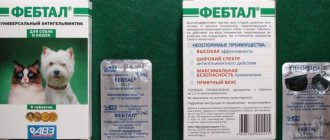 Фебтал
