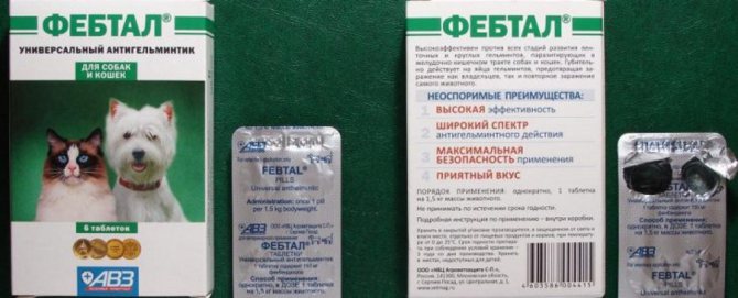 Фебтал