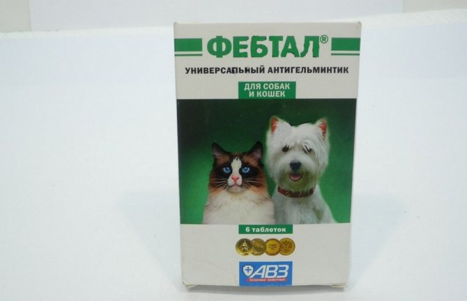 Фебтал