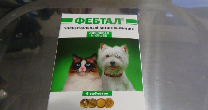 Фебтал
