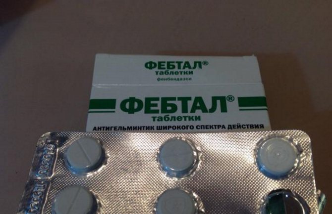 Фебтал