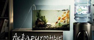 фильтрация аквариума