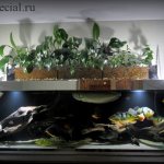 Фитофильтр для аквариума своими руками. Фитофильтр для цихлидника принцип работы