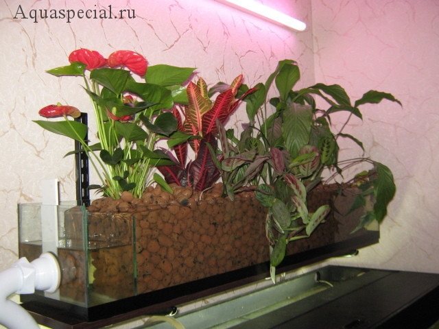 Фитофильтр для аквариума своими руками пошаговая инструкция схема. Субстрат для фитофильтра