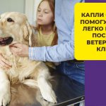 Фоспасим - успокоительное гомеопатическое средство для собак