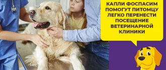 Фоспасим - успокоительное гомеопатическое средство для собак