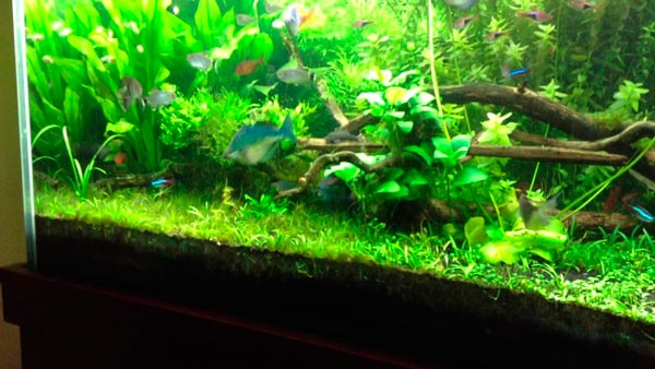 Фото 4
