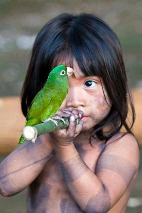 Фото: rebloggy