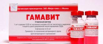 Гамавит для кошек и собак