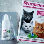 Гестренол капли для кошек