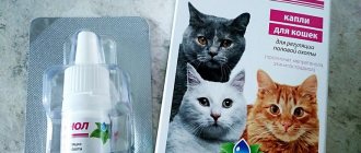 Гестренол капли для кошек
