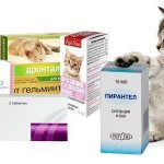 глистогонное для кошек