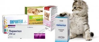 глистогонное для кошек