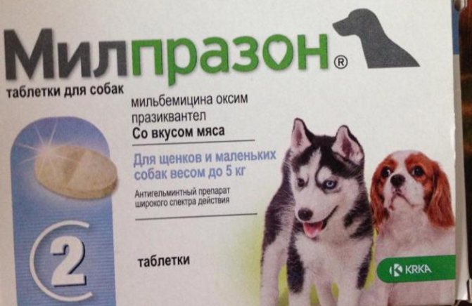 Хранение и цена Милпразона