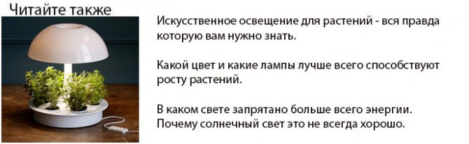 искусственное освещение растений все что нужно знать про фитолампы