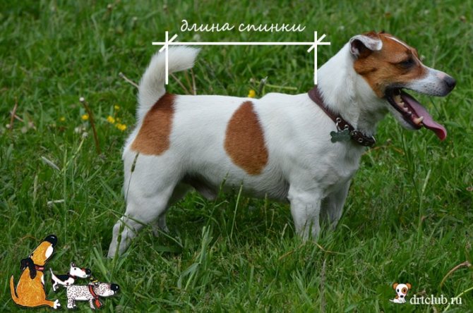 Измеряем длину