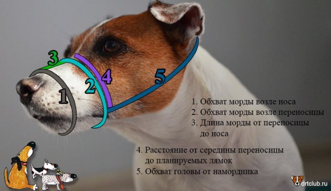 Измеряем мордаху