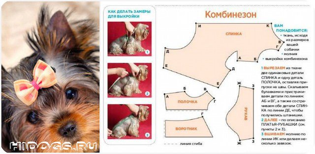 Йорк: одежда для собаки, как сшить самостоятельно, выкройки, как сделать замеры, из чего и как шить.