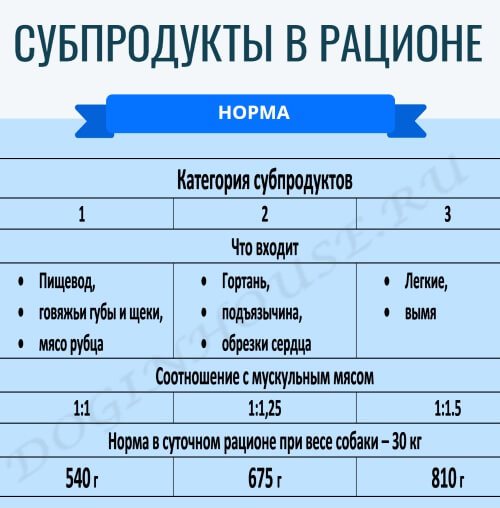 Как давать рубец собаке?
