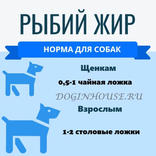 Как давать рыбий жир щенку?