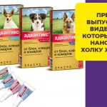 Как использовать капли Адвантикс от блох и клещей у собак и щенков