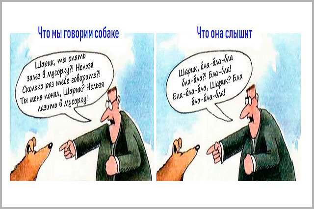 Как мы ругаем собаку