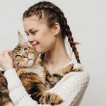Как понять, что кот заболел?