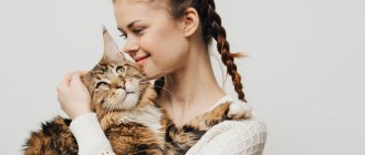 Как понять, что кот заболел?