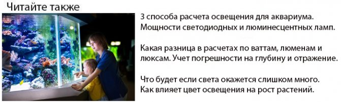 как правильно рассчитать мощность и количество ламп освещения и светильников для аквариума